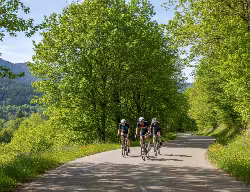 Activité rando VTT à la salvetat sur agout