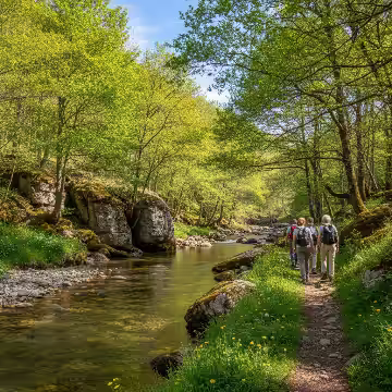 Sentier forestier et paysages du Somail près de La Salvetat-sur-Agout (image générée par IA)