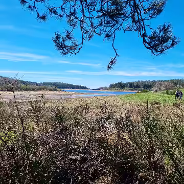 Le lac de la Raviège à La Salvetat-sur-Agout